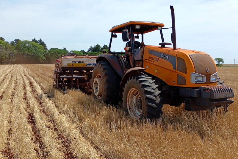 Plantio da soja é de 22% da área prevista para o Rio Grande do Sul