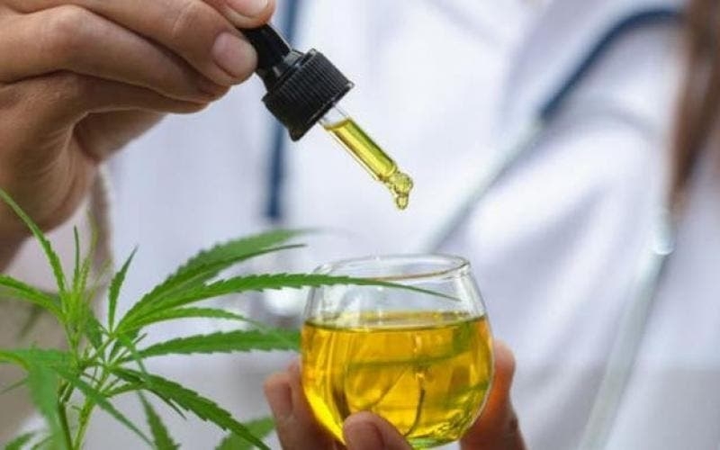 Anvisa otimiza processo de avaliação da importação de produtos derivados de Cannabis por pessoa física