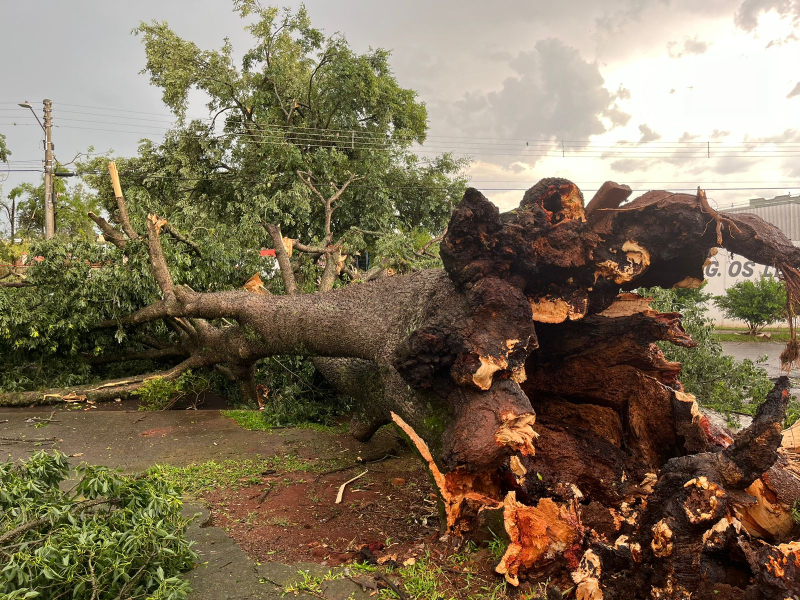 Temporal atinge Santo Ângelo e deixa um rastro de destruição