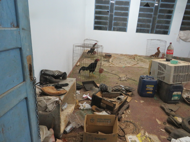 “Não queremos que as próximas gerações se divirtam com o sofrimento dos animais