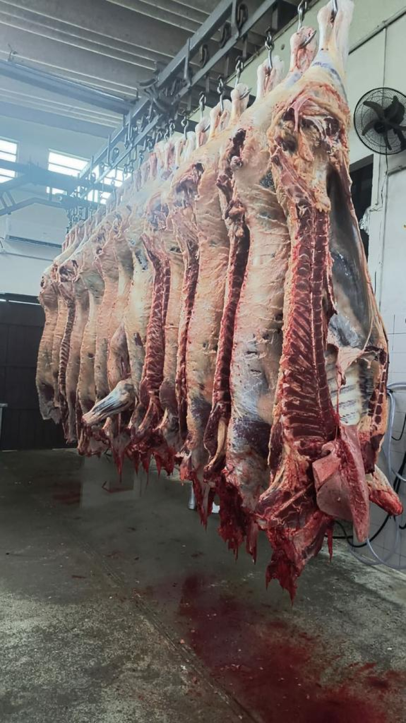 Abatedouro e agroindústria são interditados em Panambi por péssimas condições de higiene e práticas irregulares