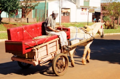 Santo Ângelo institui Comitê Municipal de Acompanhamento do Programa de Fim da Tração Animal