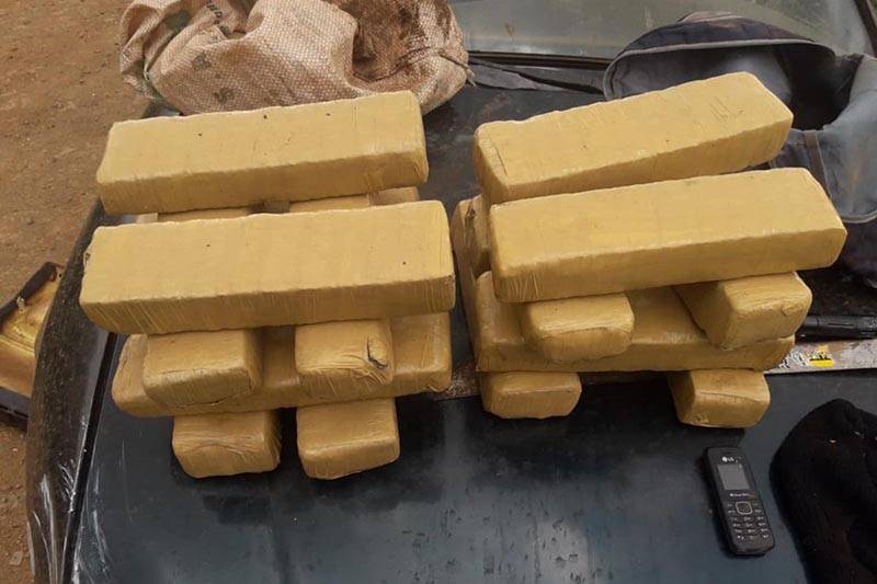 Brigada Militar apreende 21 kg de maconha em Horizontina 