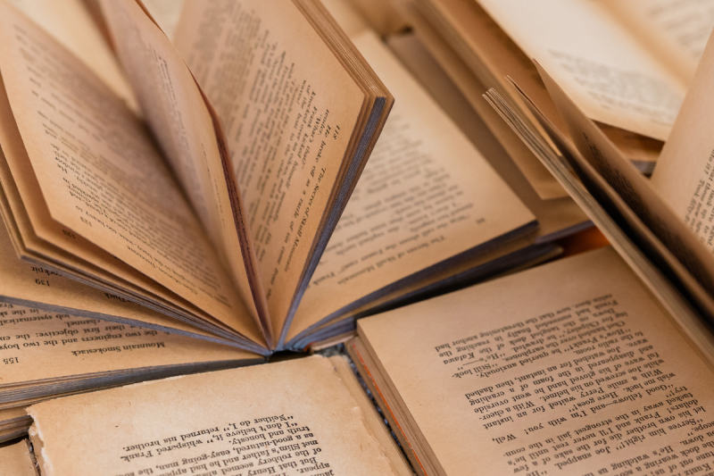 Veja a programação da 10ª Feira do Livro de Santo Ângelo