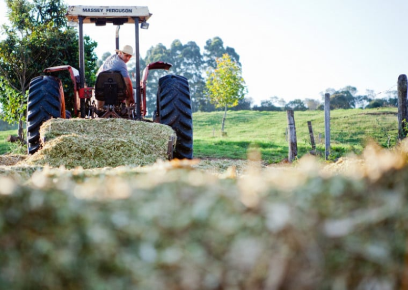 Falta de seguro rural amplia riscos e endividamento no campo gaúcho