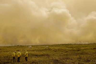 Calor já mata meio milhão de pessoas por ano, alertam cientistas