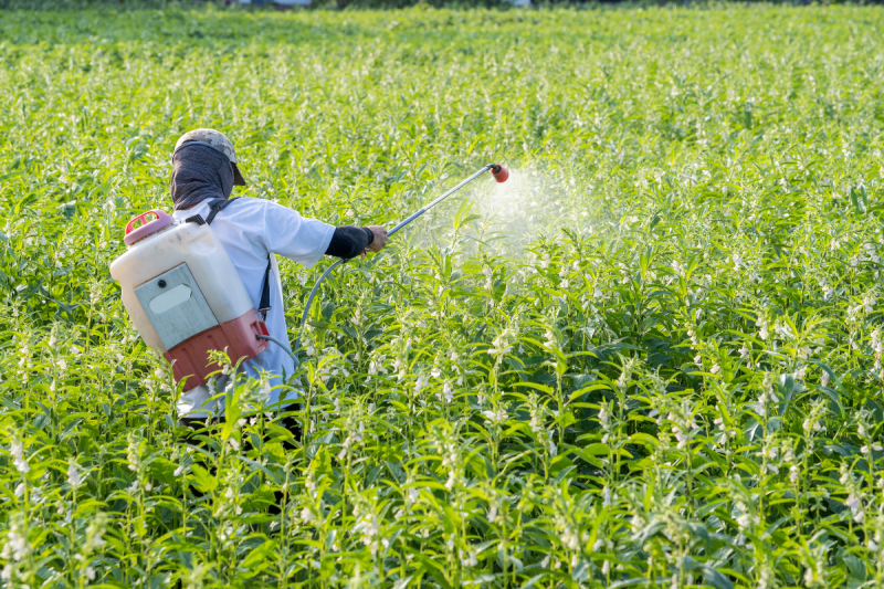 Agrotóxicos atingem população já em vulnerabilidade, segundo especialista