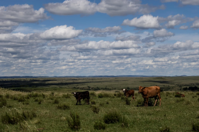 Proposta do ICMBio prevê novas Unidades de Conservação e pode impactar cinco municípios da Região das Missões