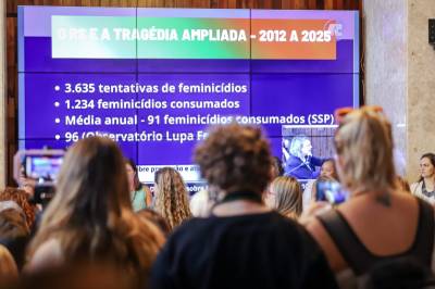 Comissão externa aponta falhas estruturais e cobra políticas públicas para conter feminicídios no RS