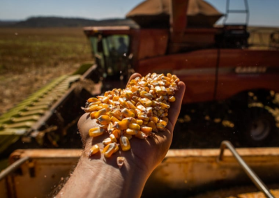Dependência do Irã expõe milho brasileiro a risco de preços