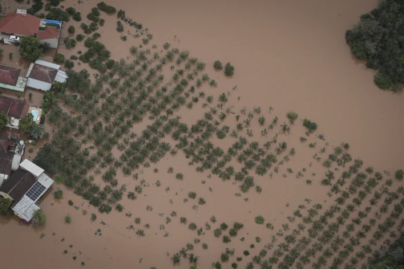 Como o produtor gaúcho pode se preparar para enfrentar El Niño previsto para o 2º semestre