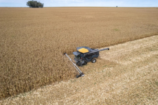 Clima, demanda e guerra pesarão no agro do Brasil e EUA