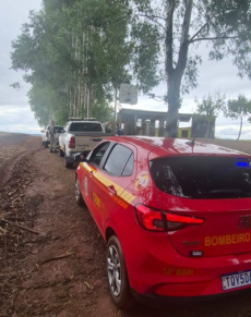 Operação ARGOS fiscaliza armas, munições e produtos controlados em Ijuí