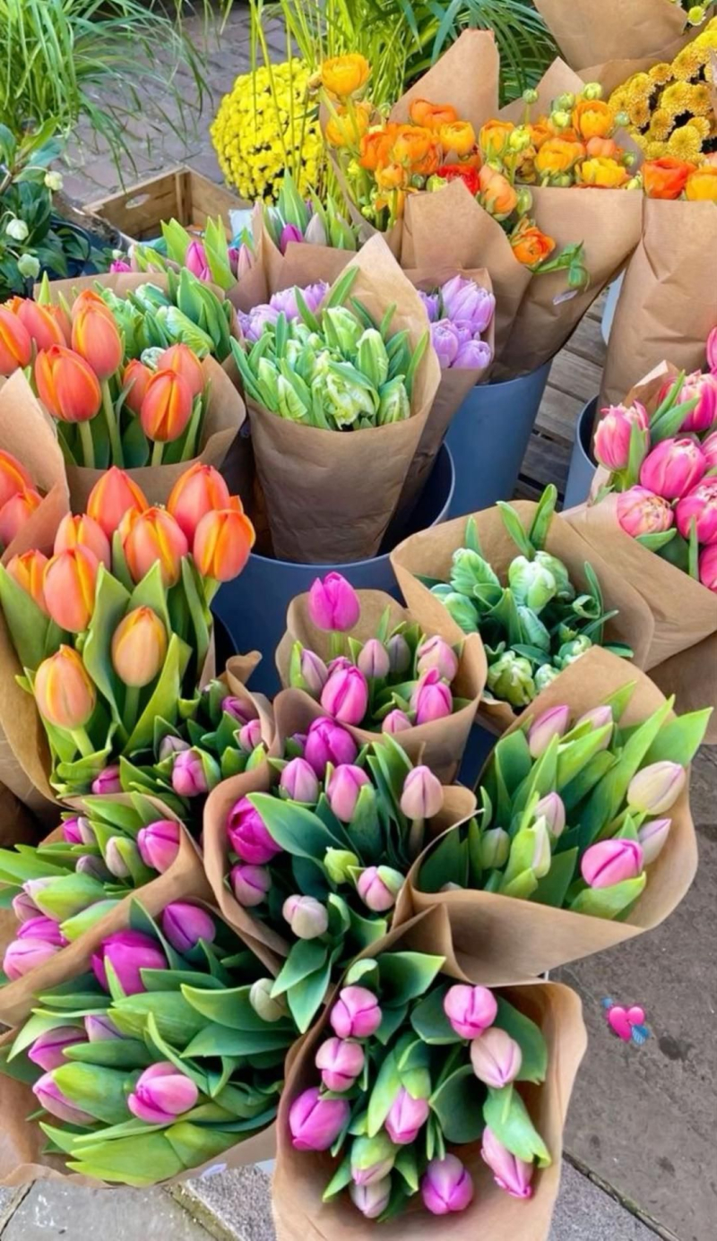 Dia das Mães impulsiona vendas de flores no Brasil com alta de 10%