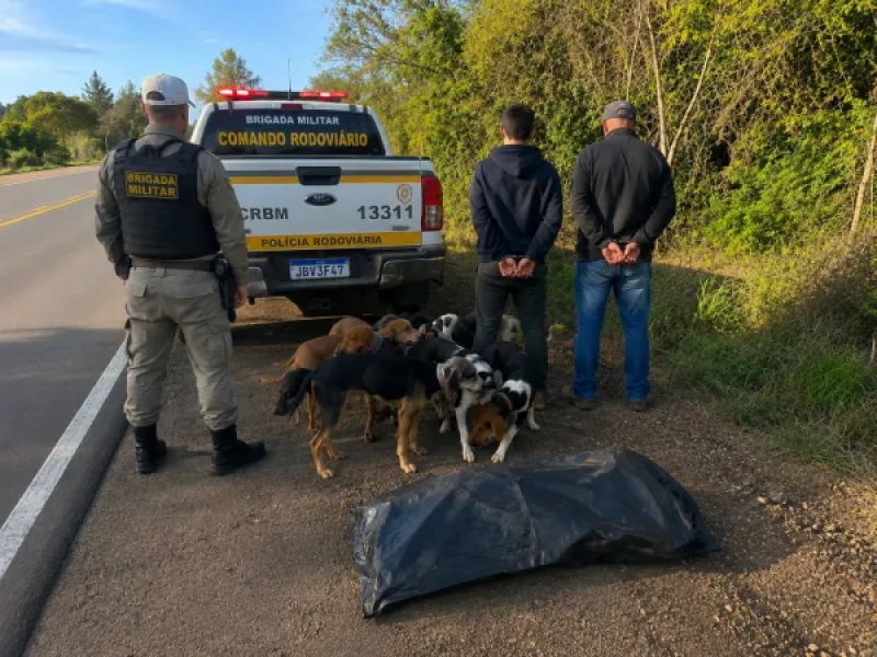 Duas pessoas são detidas por crime ambiental após abate de veado-campeiro em Cruz Alta