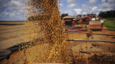 Tarifa dos EUA pode atingir 74,9% das exportações do agro gaúcho ao mercado americano
