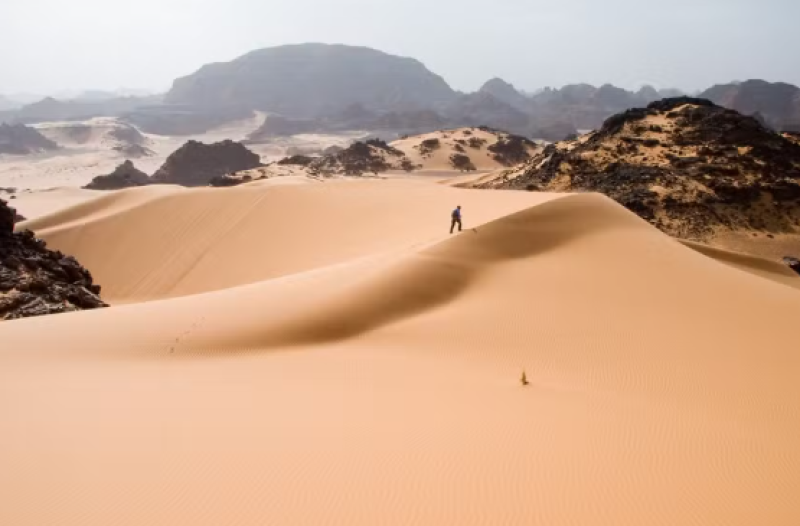 Dezenas de pessoas morrem de sede no deserto do Saara após pane em caminhão
