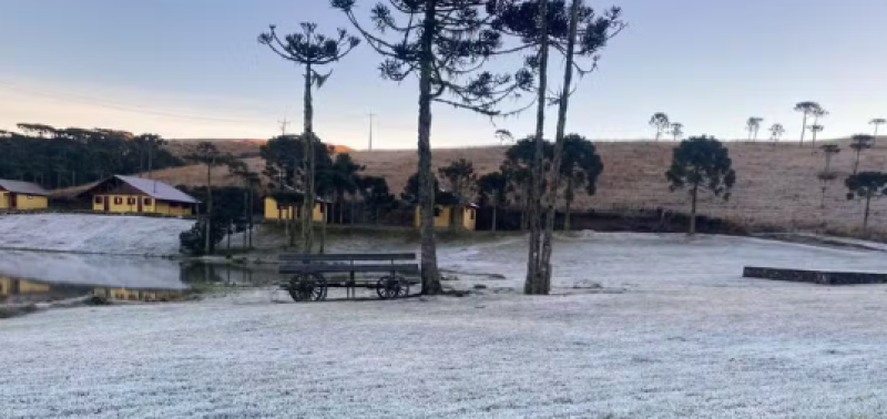 RS tem 4º dia consecutivo de mínimas negativas e geada; veja onde foram as menores temperaturas