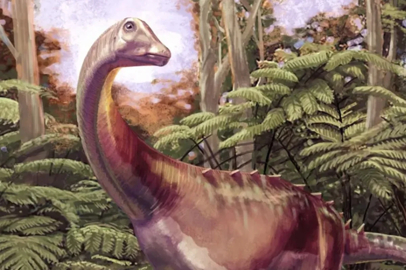 Fóssil arquivado há quatro décadas é do 1º dinossauro da Antártida