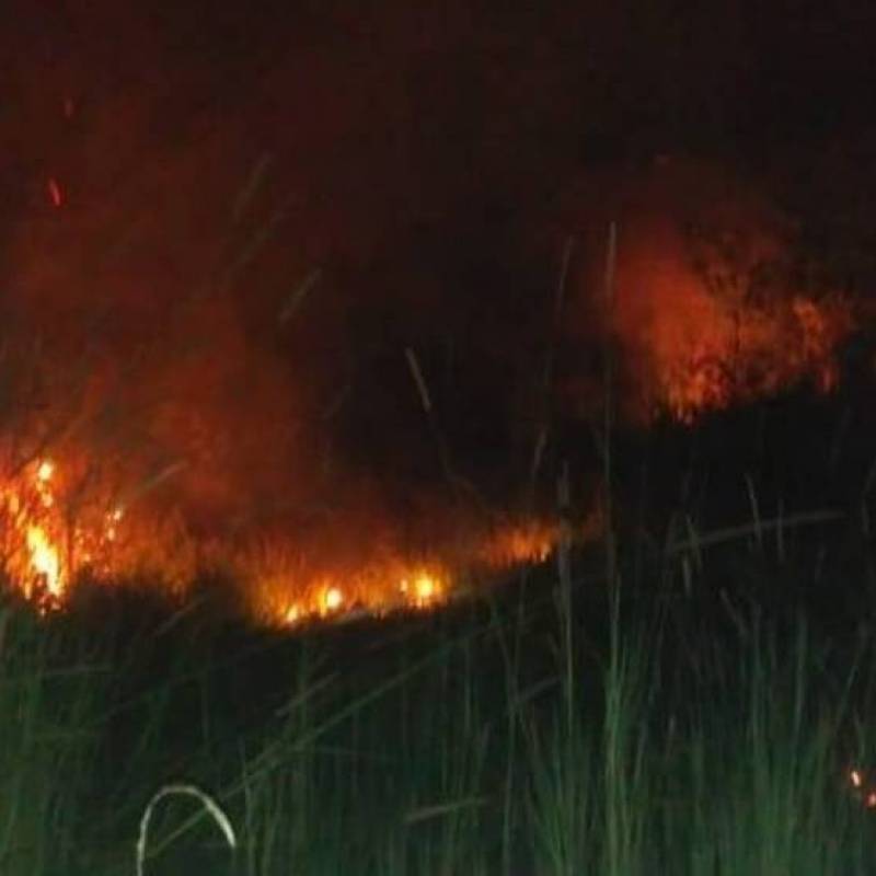 Incêndio atinge zoológico de Sapucaia do Sul