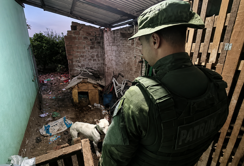 Homem é preso por maus-tratos após fiscalização encontrar cão morto em Cruz Alta