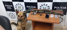 Operação Juízo Final prende investigado por armas e drogas