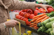 Preços dos alimentos: saiba o que ficou mais caro e o que barateou no primeiro semestre no País