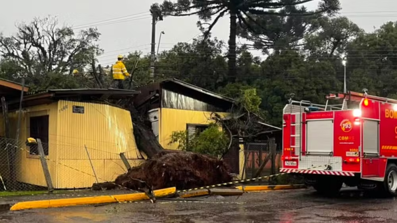 Árvore cai sobre casa e destrói parte de residência
