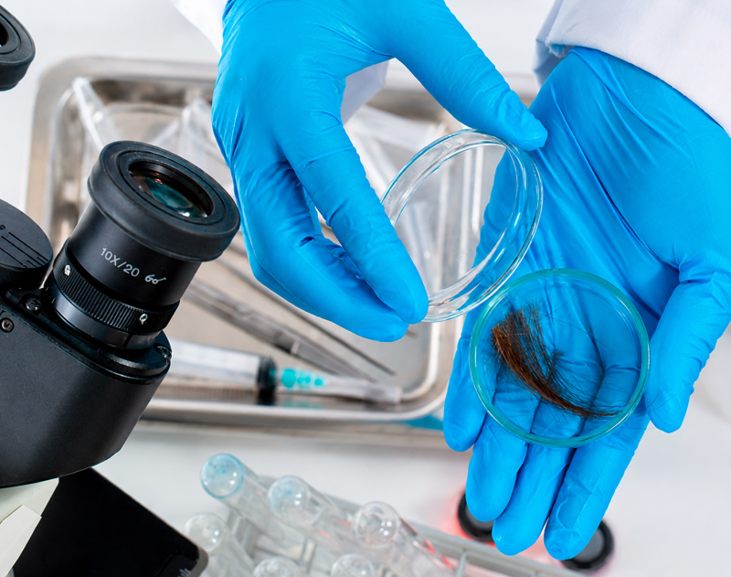 Câmara de Vereadores torna oficial lei que exige exame toxicológico para agentes públicos em Ijuí
