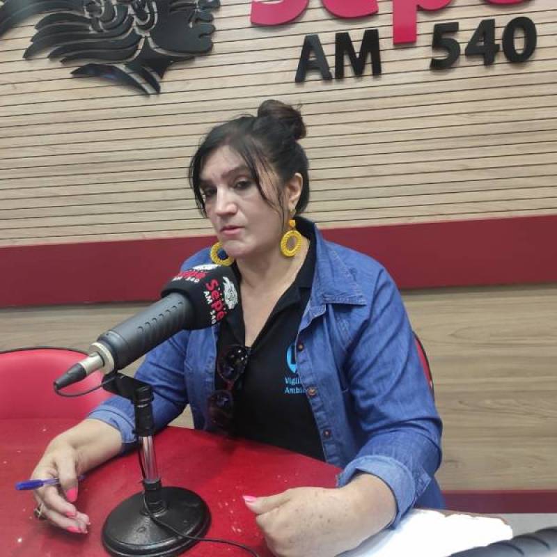 Vigilância Ambiental confirma três casos de dengue em Santo Ângelo