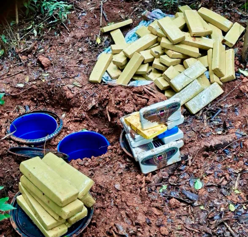 DRACO apreende mais de 64 quilos de drogas enterradas em área de mata em Ijuí
