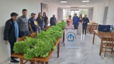 Curso de Agronomia da Uri produz hortaliças em estufa e compartilha com a comunidade
