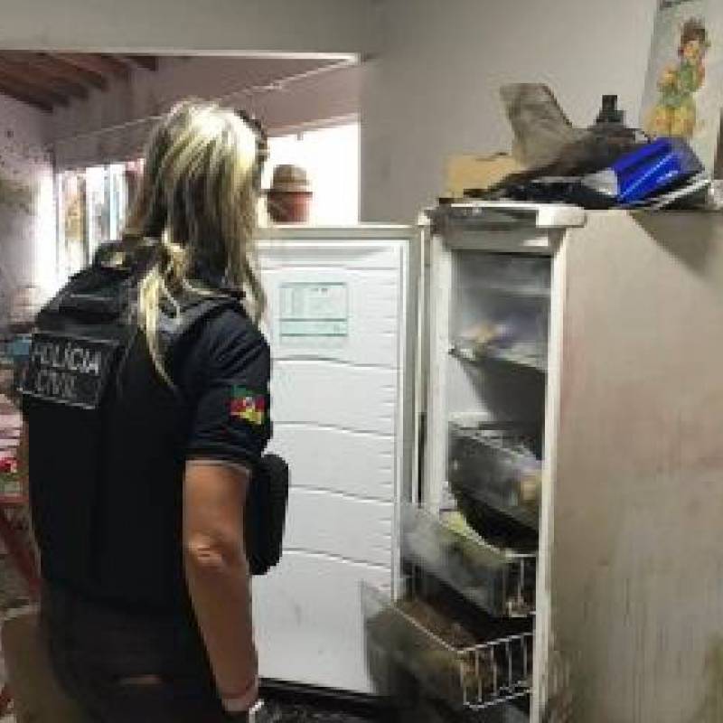 Polícia encontra cinco cachorros congelados em casa em Imbé