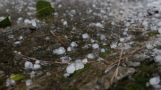 Granizo atinge Jaguarão e outros cinco municípios do RS