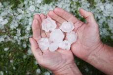 Quaraí decreta emergência após chuva de granizo