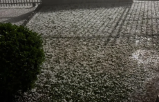 Santa Bárbara do Sul tem prejuízo superior a R$ 15 milhões no campo após queda de granizo
