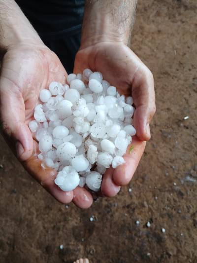 Temporal com granizo causa danos em lavouras no interior de Catuípe