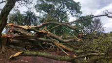 Fotos: Prefeitura de Caibaté 
