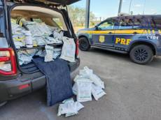 PRF apreende 200 quilos de agrotóxicos em Rosário do Sul