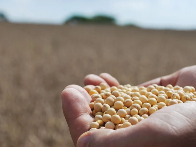 Produção agropecuária brasileira deve movimentar R$ 1,44 trilhão em 2026