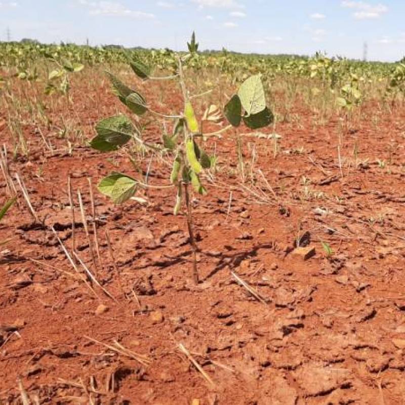 Deu polêmica no agronegócio