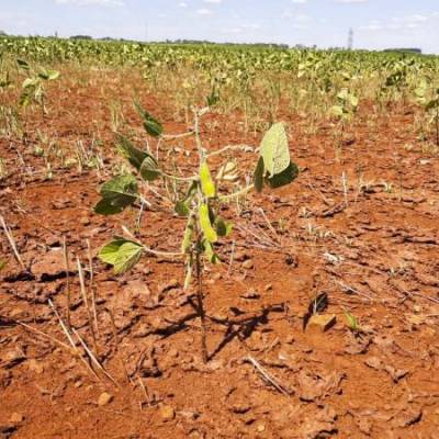 Estado define medidas para diminuir impacto da estiagem na região Sul do RS