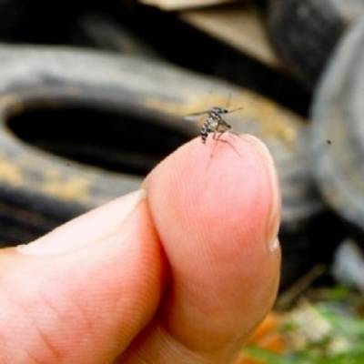 Casos de dengue crescem na região das missões 