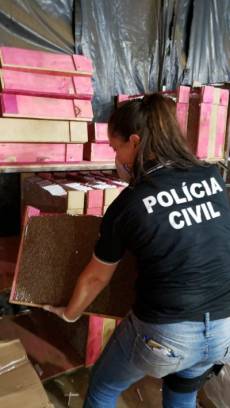 Foto: Polícia Civil/Divulgação