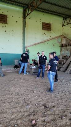 Foto: Polícia Civil/Divulgação