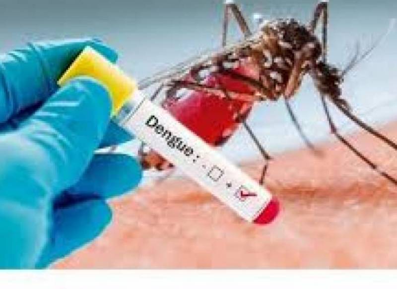 Região contabiliza 165 casos confirmados de dengue