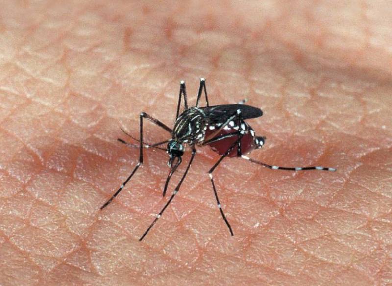 Homem morre de dengue hemorrágica em Santa Rosa